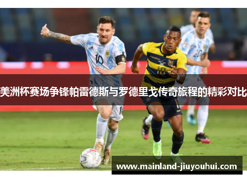 美洲杯赛场争锋帕雷德斯与罗德里戈传奇旅程的精彩对比 美洲杯赛场争锋帕雷德斯与罗德里戈传奇旅程的精彩对比