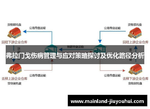 弗拉门戈伤病管理与应对策略探讨及优化路径分析