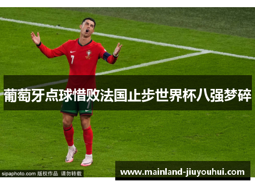 葡萄牙点球惜败法国止步世界杯八强梦碎